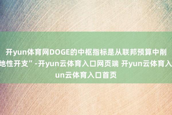 开yun体育网DOGE的中枢指标是从联邦预算中削减“忽地性开支”-开yun云体育入口网页端 开yun云体育入口首页