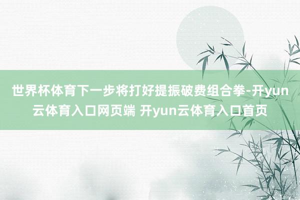 世界杯体育下一步将打好提振破费组合拳-开yun云体育入口网页端 开yun云体育入口首页