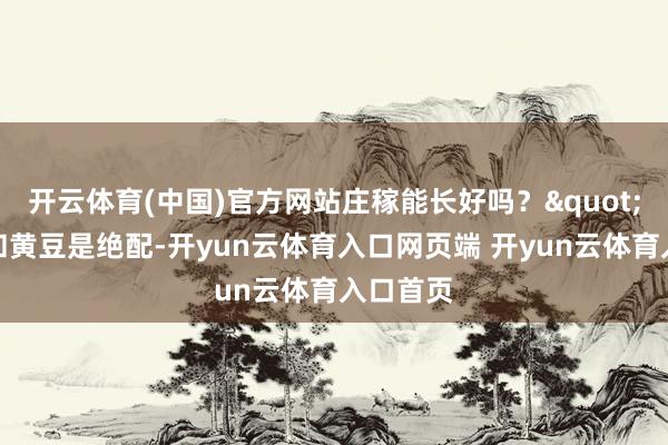 开云体育(中国)官方网站庄稼能长好吗?"黑芝麻和黄豆是绝配-开yun云体育入口网页端 开yun云体育入口首页