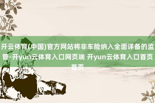 开云体育(中国)官方网站将非车险纳入全面详备的监管-开yun